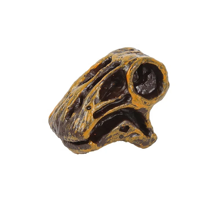 Factory Wholesale High Quality Educational Kids Realistic Dinosaur Skull Figurines Exquisite Dinosaur Skull Toys Decorations