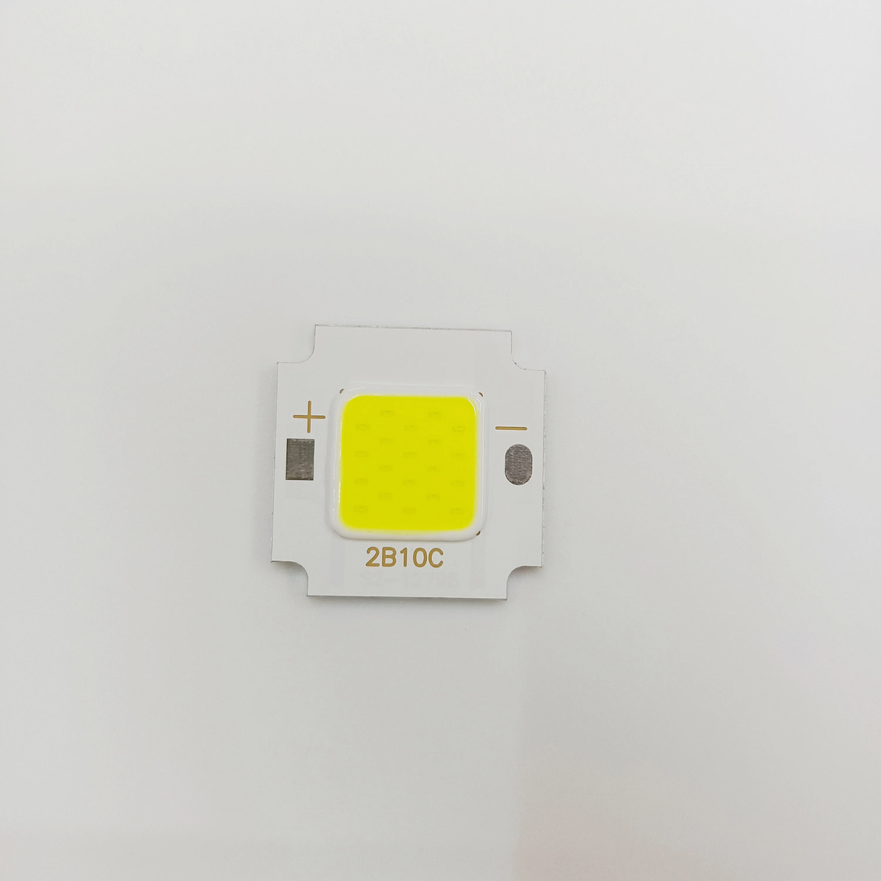 COYOLED 4640 COB LED Chips 220V/110V  10W 15W 50W LED COB Chips 1021 Chips for Outdoor Street Light Spot Light