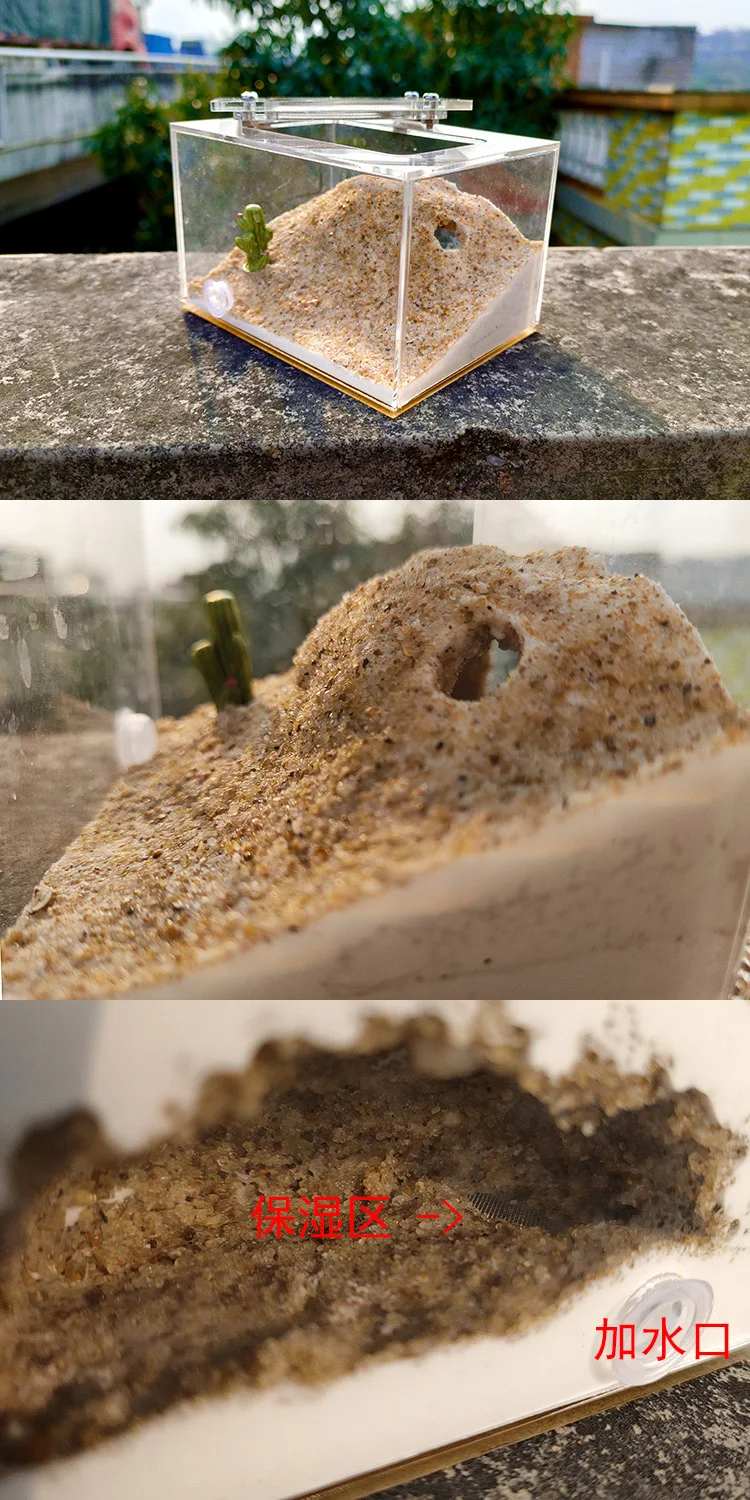 DIY mini original ecological plaster hormiguero ant nest for pet ant castle workshop home