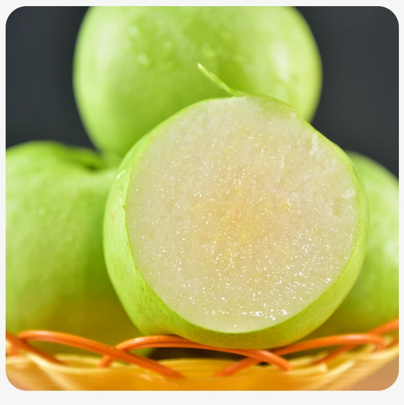 Chinese Supplier of Shandong Fresh Emerald Pear