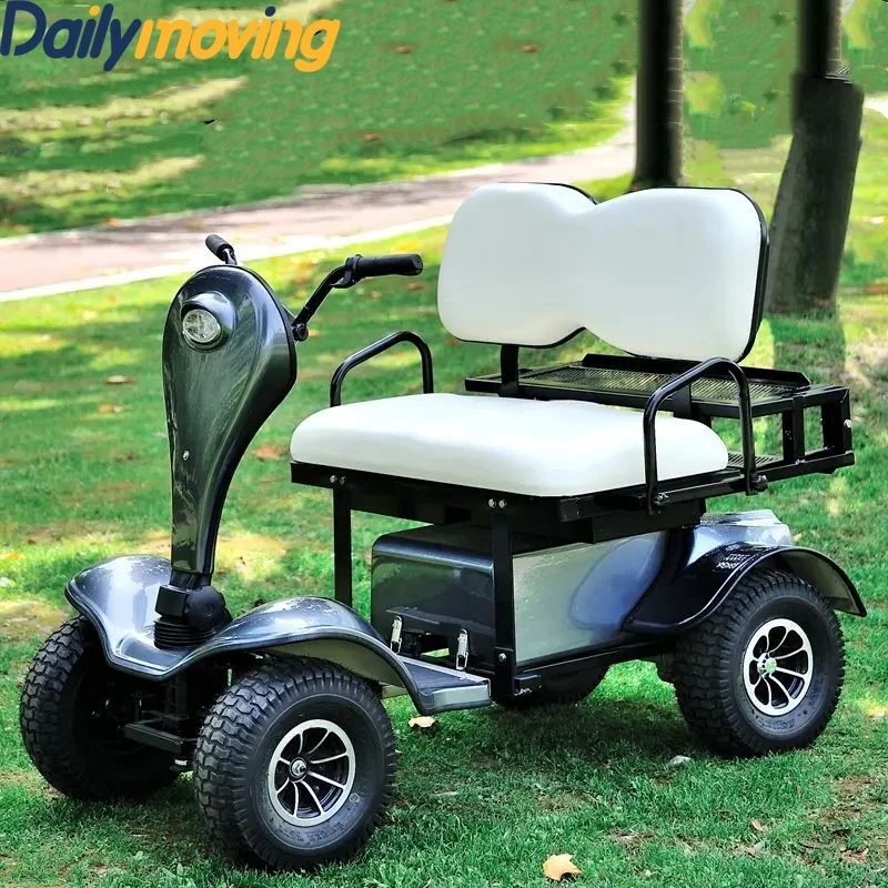 China Supplier Professional Design Golf Carts Electric Golf Cart Mini Golf Cart