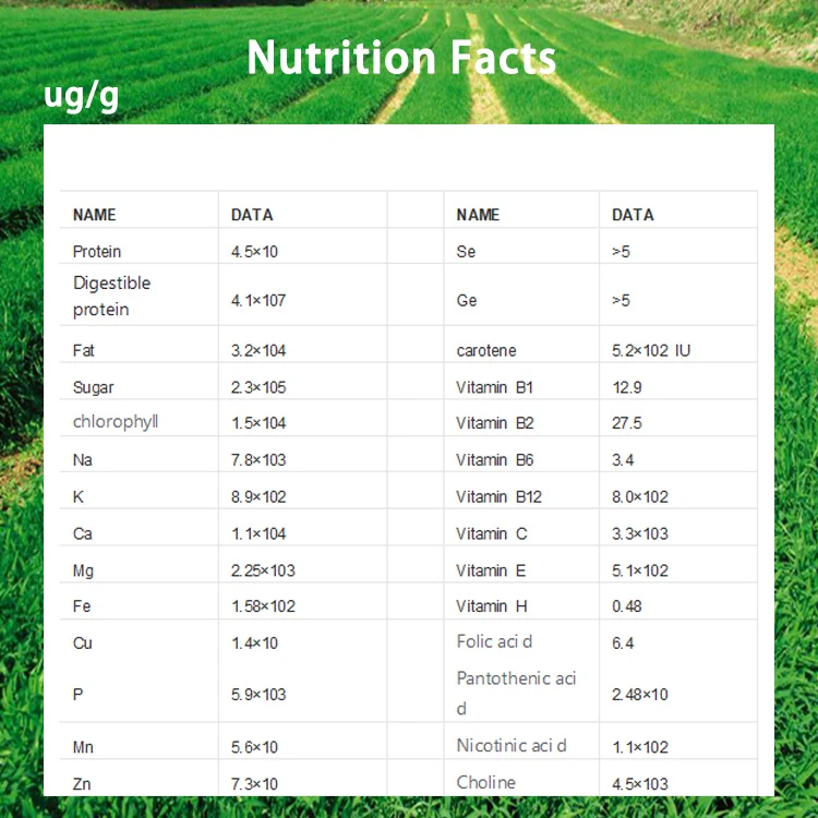 hot selling barley grass juice powder