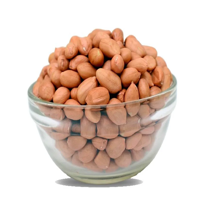 High Nutrition Jumbo Peanuts Groundnuts Benin Peanut Organic Protein Seed Raw Peanut Kernel For Sale