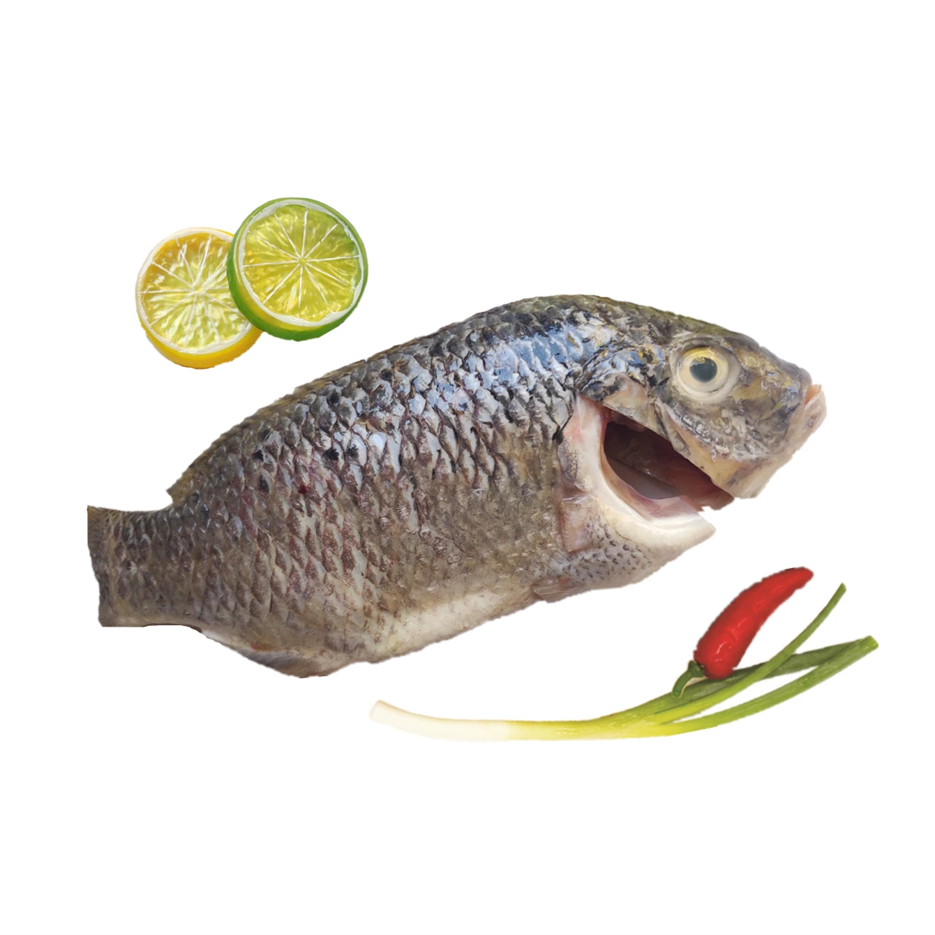 Competitive Price Frozen Tilapia Moon Cut