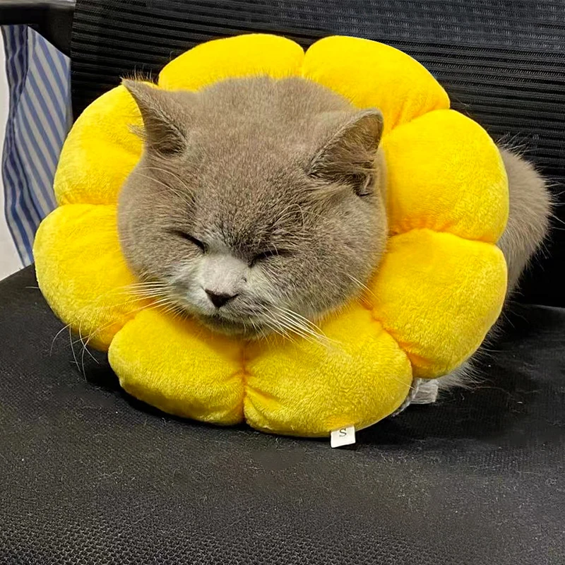 Cotton filled sunflower Elizabethan circle cat anti-lick anti-bite collar pet supplies and