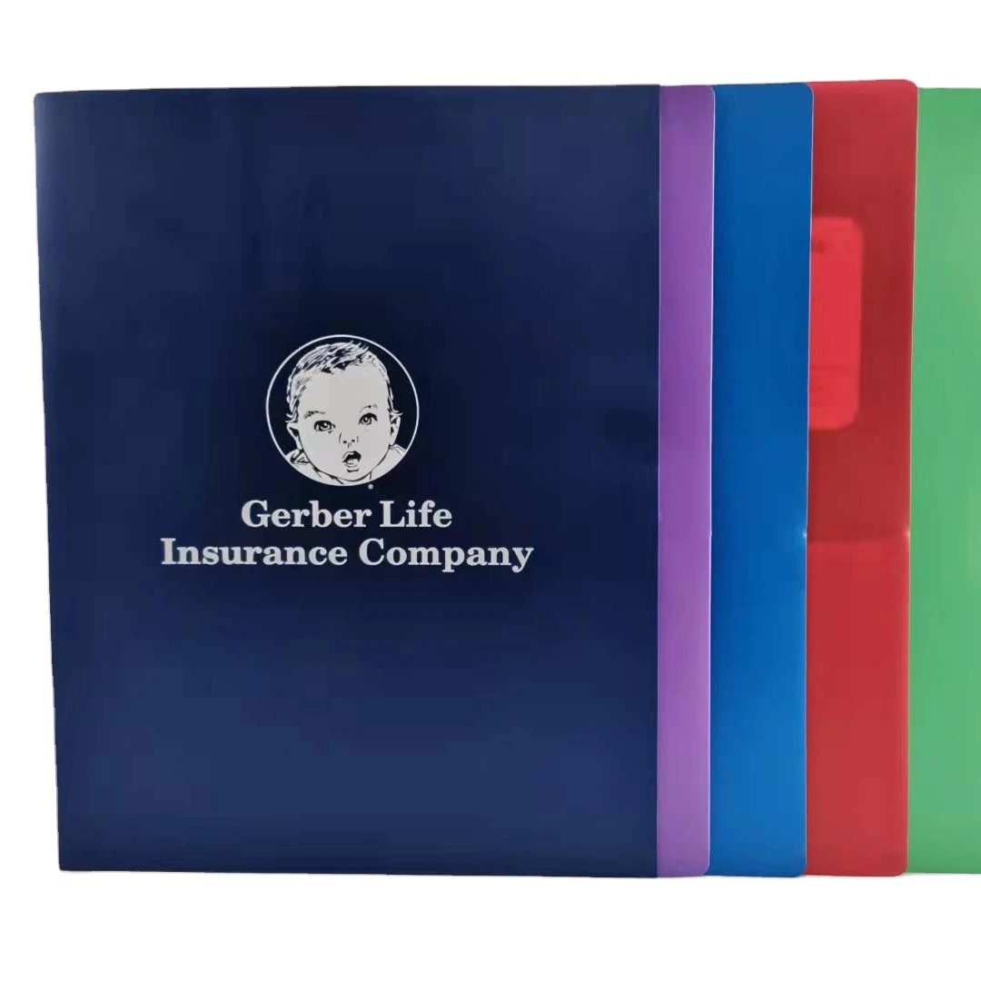 Разноцветная Водонепроницаемая износостойкая портативная папка для мультиграфа с логотипом на заказ PP, вертикальная Папка с расширяющейся линией, быстрая доставка