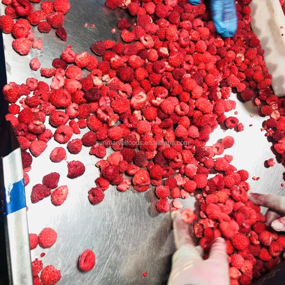 New Crop Brc Certificate IQF Frozen Whole Red Raspberry in Season 10kg