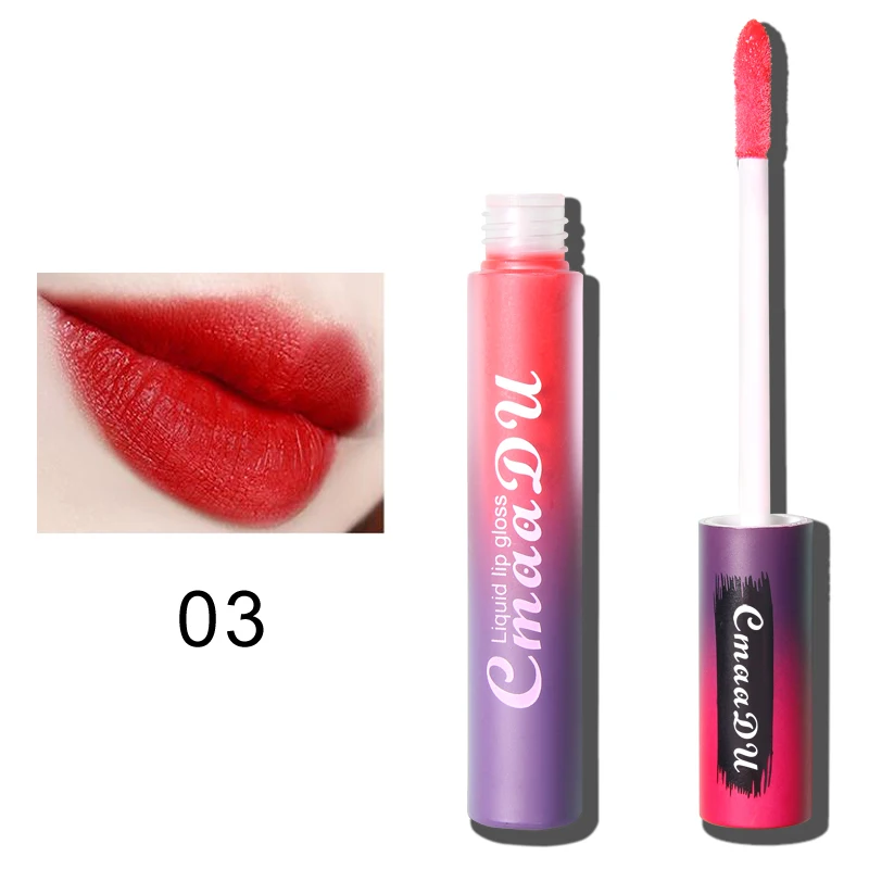 Matte Lip Gloss Lasting High Pigment Cosmetic Natural Lipgloss Wholesale Lipstick Velvet Moisturizing Cosmetic Vendor