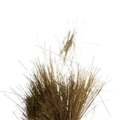 
High Quality Straight and Cut Crimped Brass Wire for Brush Making 