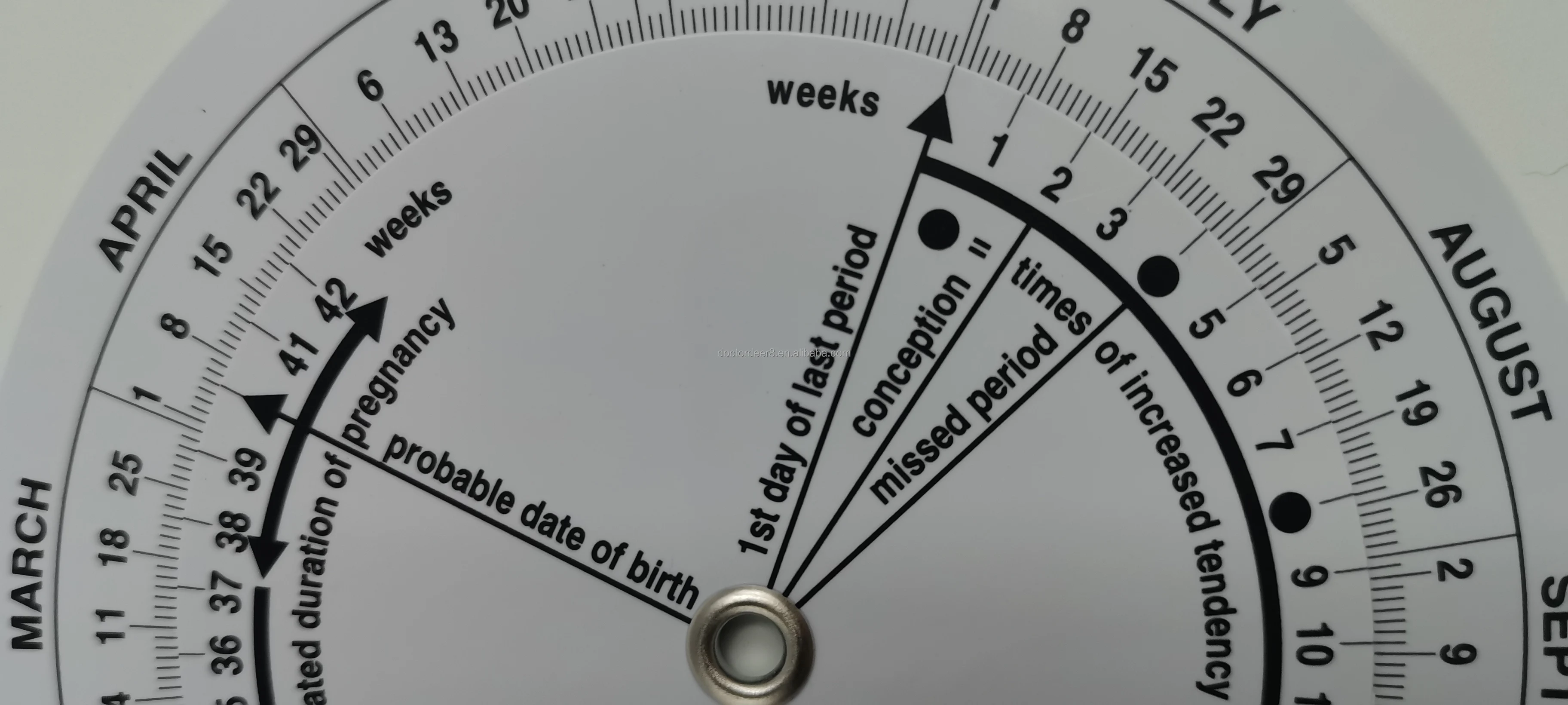 Customizable Plastic Obstetrics Wheel Calculator Gestation Born Date Chart Due Date Pregnancy Disc for Hospital/Clinic Use