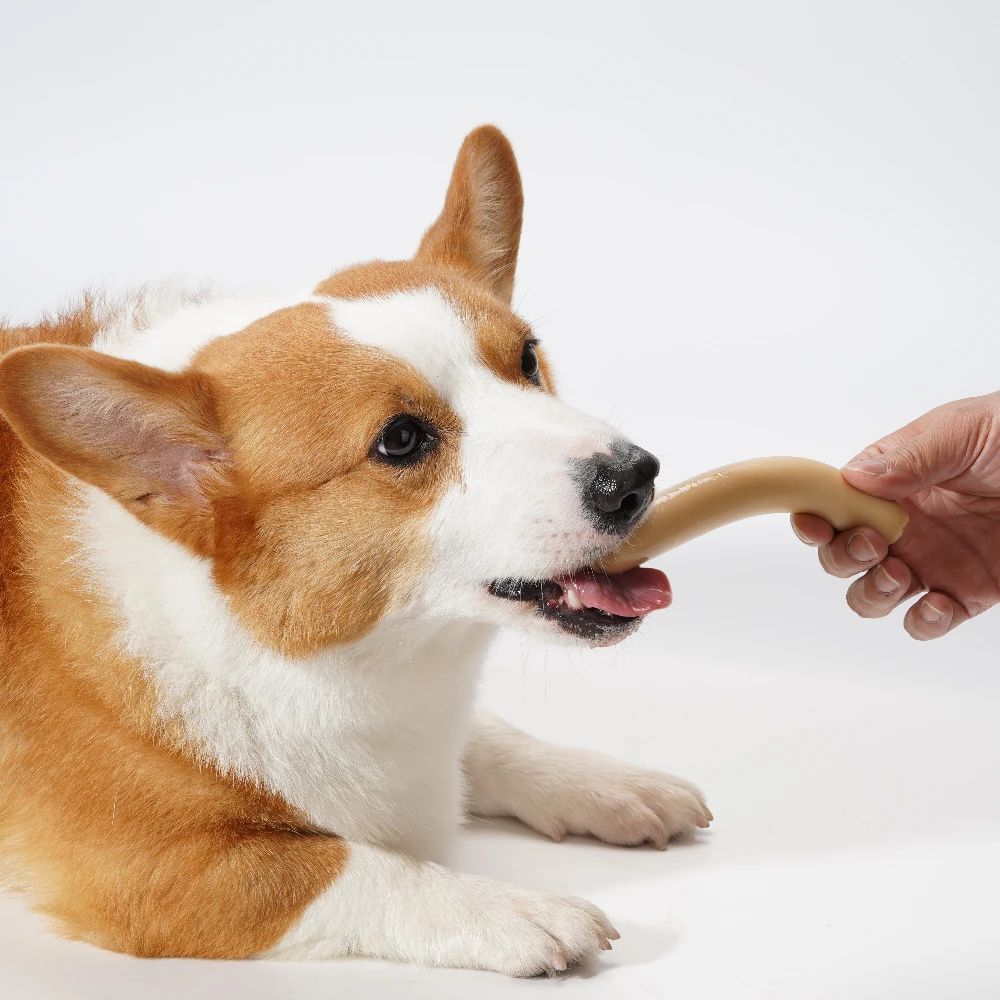 Pet Cat Dog Sausage Stick Snack Dog Treats Wholesale