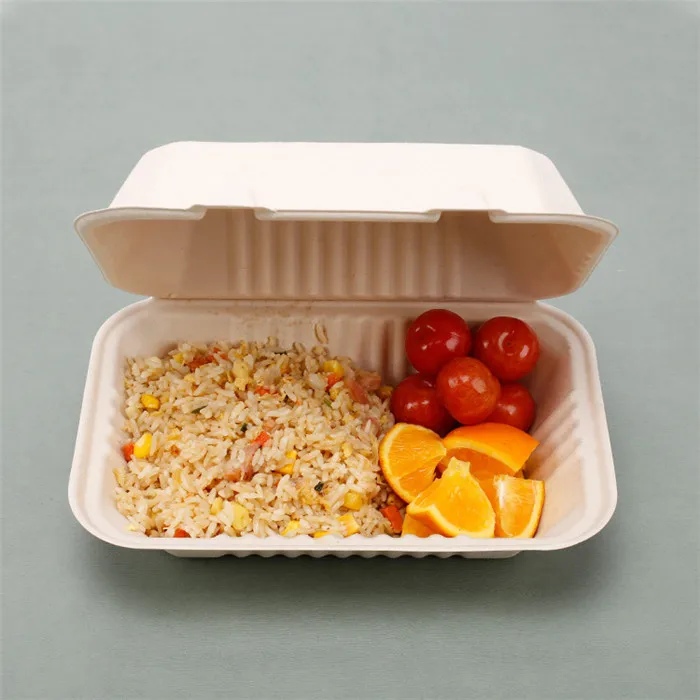 Compostable Bento Biodegradable Sugarcane Bagasse Paper Container Production Disposable Box Packaging For Food