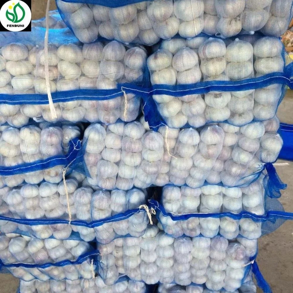 1/2LB fresh garlic normal white garlic 4 pcs