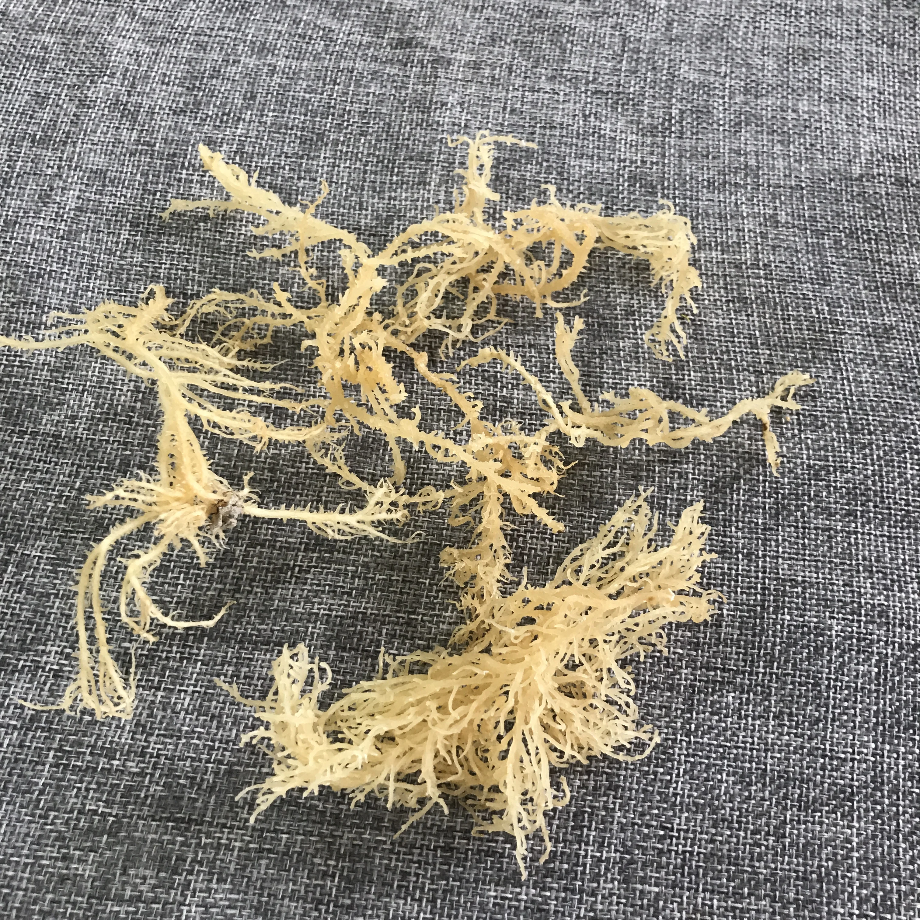 N10 Health natural delicious products dried sea moss for food