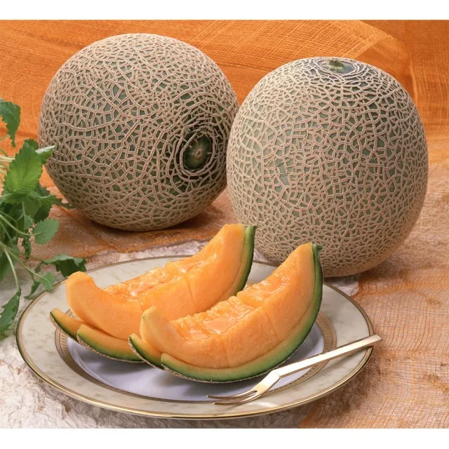 Japanese Fresh Sweet Types Cantaloupe By Veteran Producers