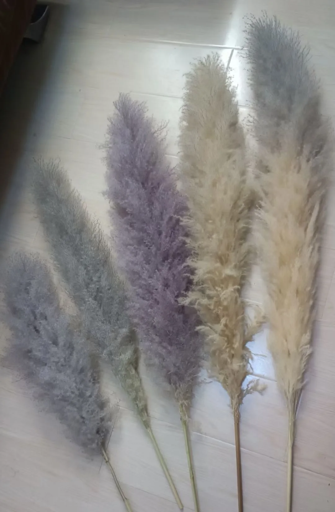 Pampas for Flower Arrangements Home Decor Grass Minimalist Decor Farmhouse Decor Natural Dried Flower Boho Easter 150cm 200cm