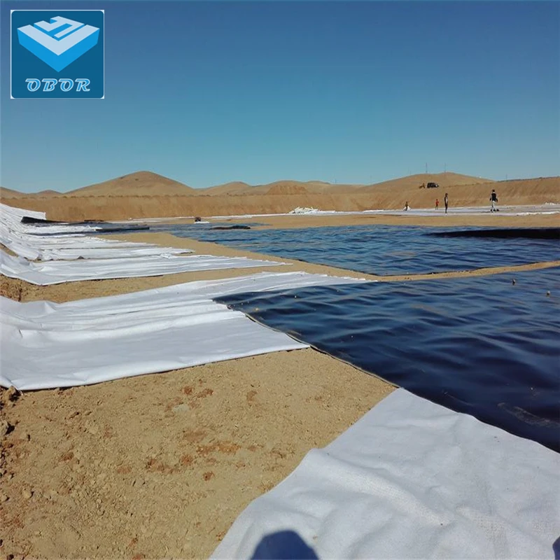 Fish Farming pond Liner 1.5mm geomembranes resevior artifical lake hdpe dam liner