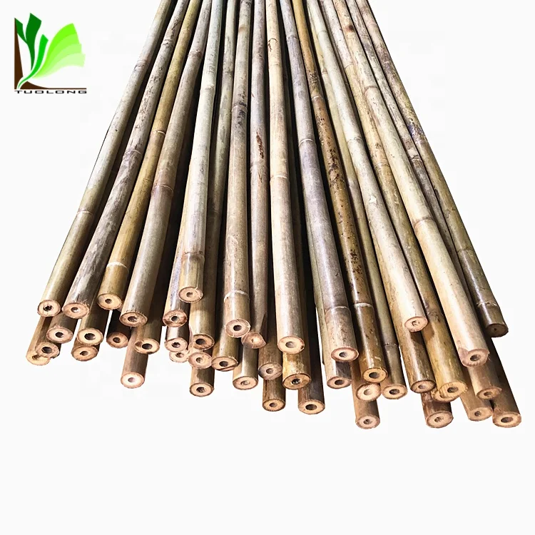 Tonkin Bamboo Canes Bamboo Cane Prices