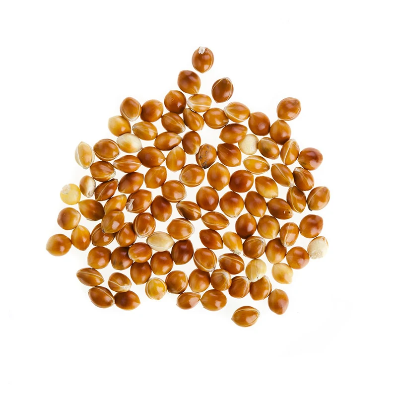 Sell Well Tasty Yellow Millet Health and Safety Millet for Bird Suitable for All The Birds