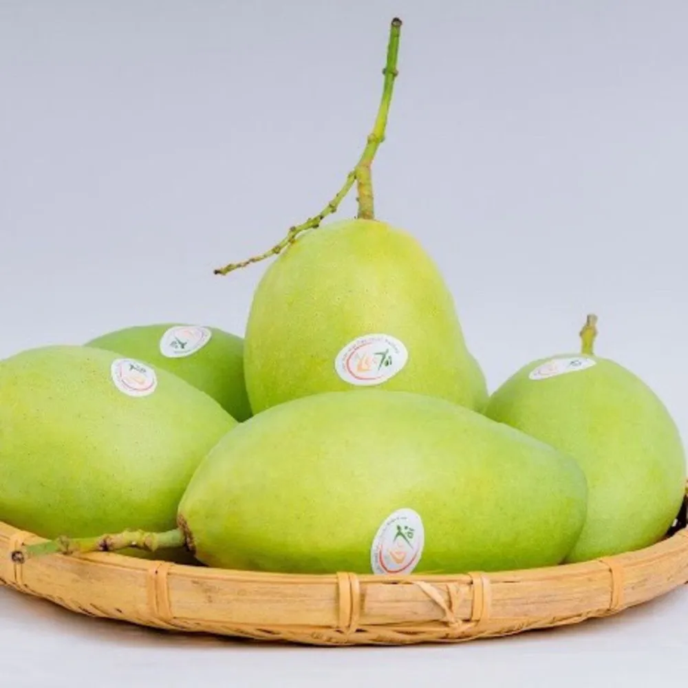 
Mangoes Fresh Cat Chu From Vietnam Exporters Yellow Tropical Box Sweet Crop Style Packing Color Weight Natural Origin Type 