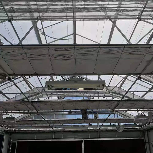 Agricultural mushroom greenhouse with PEP plastic for the cold area in winter