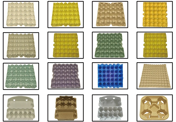 Paper Pulp Egg Box Machine with dryer