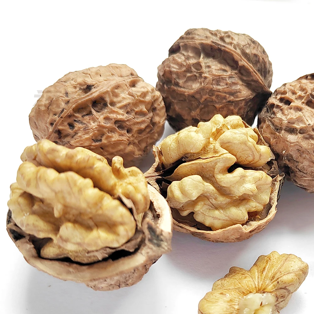 wholesale yunnan 185 33 xiner xinfeng xingfu walnuts in shell with extra light walnut kernels prices