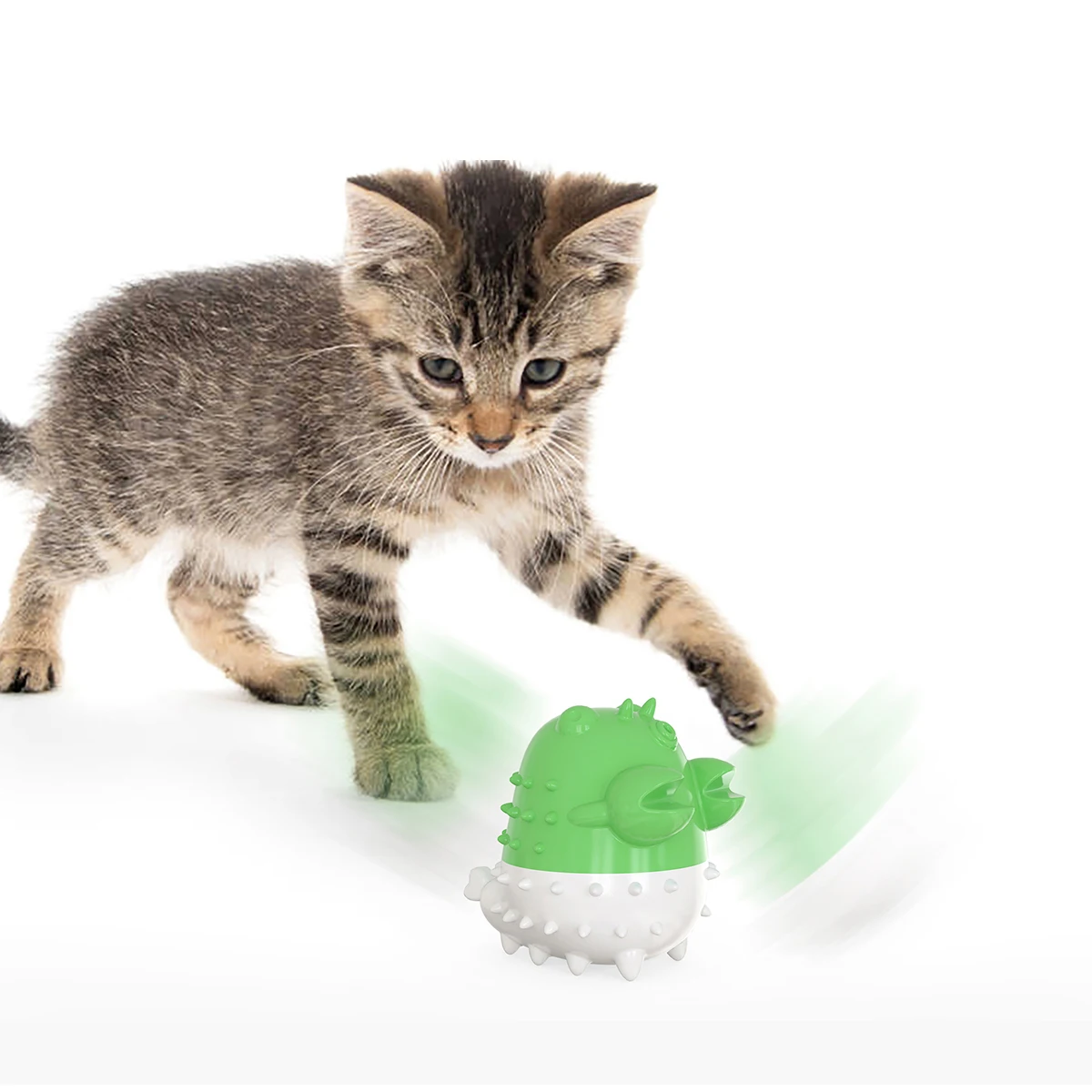 High quality new automatic cat toothbrush interactive cat pet toy