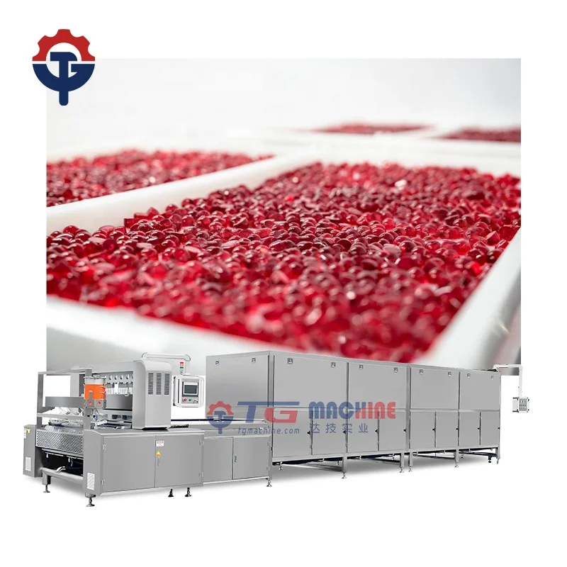 automatic Halal gelatin gummy processing equipment manufacturer