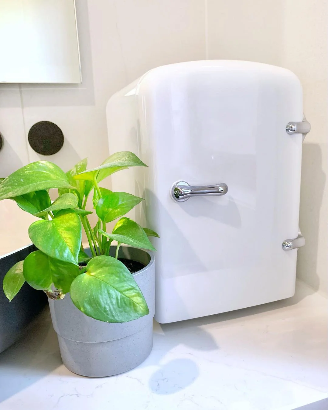 12 V 220 V Dual use 4L Outdoor camping mini fridge for Car and home hotel  Compact Refrlgerators