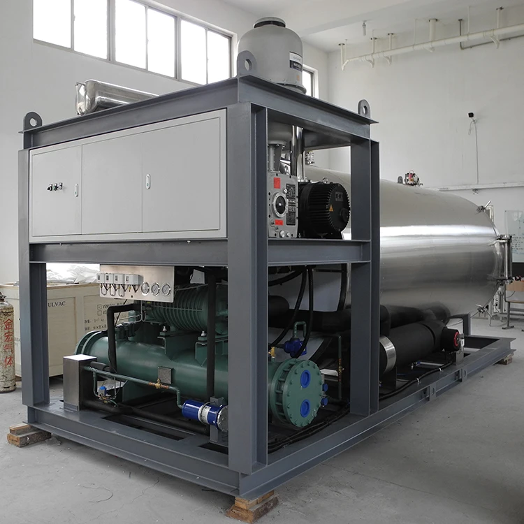 Commercial Vacuum Freeze Dryer For Fruit Vegetable Food Freeze Drying Machine Equipment