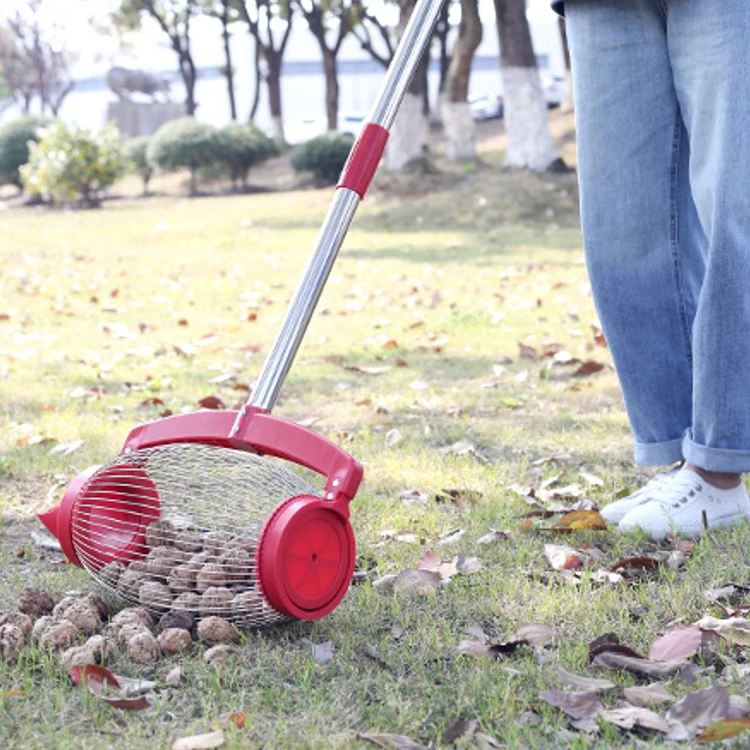 Hot sale nut gatherer ball pick up nut collector fruit picker garden tool picking up ping pong balls with stainless steel