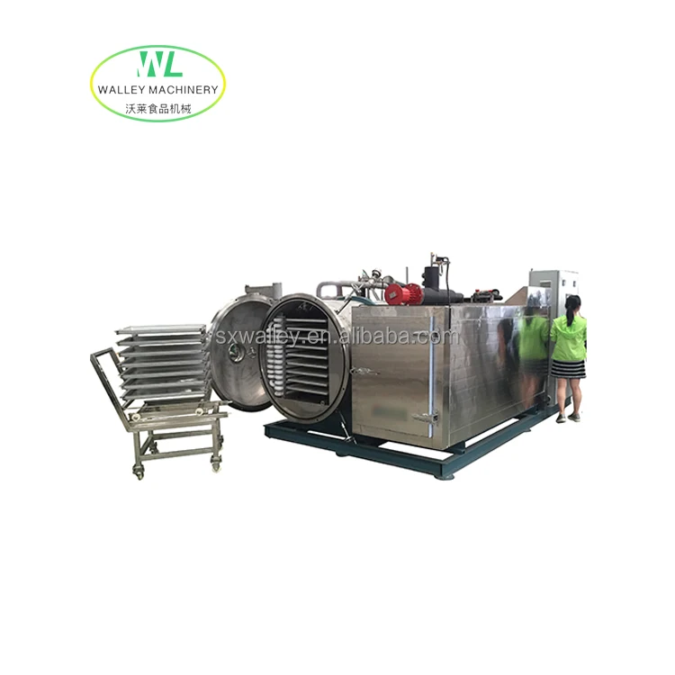 Factory Supply Price Industrial Prawn Vacuum Freeze Dryer Aquatic Vegetable Fruit Strawberry Vacuum Lyohpilization Machine
