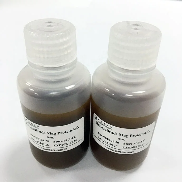 Hot-sale Professional Lower Price Magnetic Beads Protein A/G Extraction Kit
