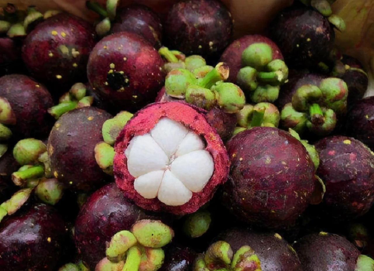 Thai Fruits and vegetables For Export Cheap Price And Quick Response With High Quality From Thailand