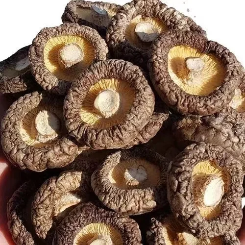 Dry shiitake mushroom 13%Max moisture dried mushroom for sale shiitake brown  mushrooms