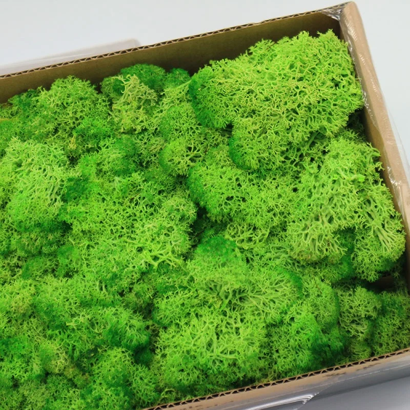 INUNION Factory Wholesale Natural Green Preserved Reindeer Moss Gardening Art Wall Florist Decor Panel
