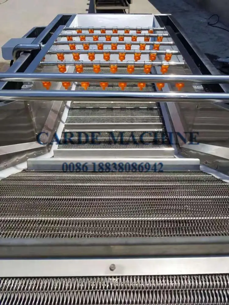 High efficient pumpkin seed food washing machine by air bubble and fruit ozone washer leafy vegetable fruits bubble cleaner