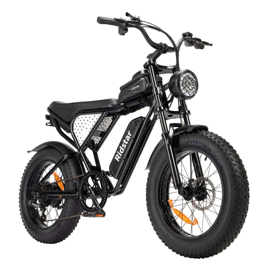 2024 Ridstar Q20 Mini Hot Sale Eco-friendly Electric Hybrid E-Bike 48v Waterproof Fat Tire E-Bike