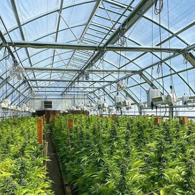 Дешевая оптовая торговля Коммерческая сельскохозяйственная теплица