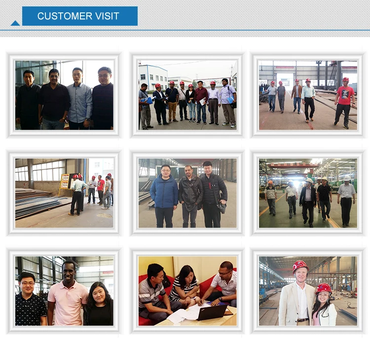 supplier fully automated incubator Chicken Egg Incubator for Hatching Eggs 20-100000 Eggs Capacity