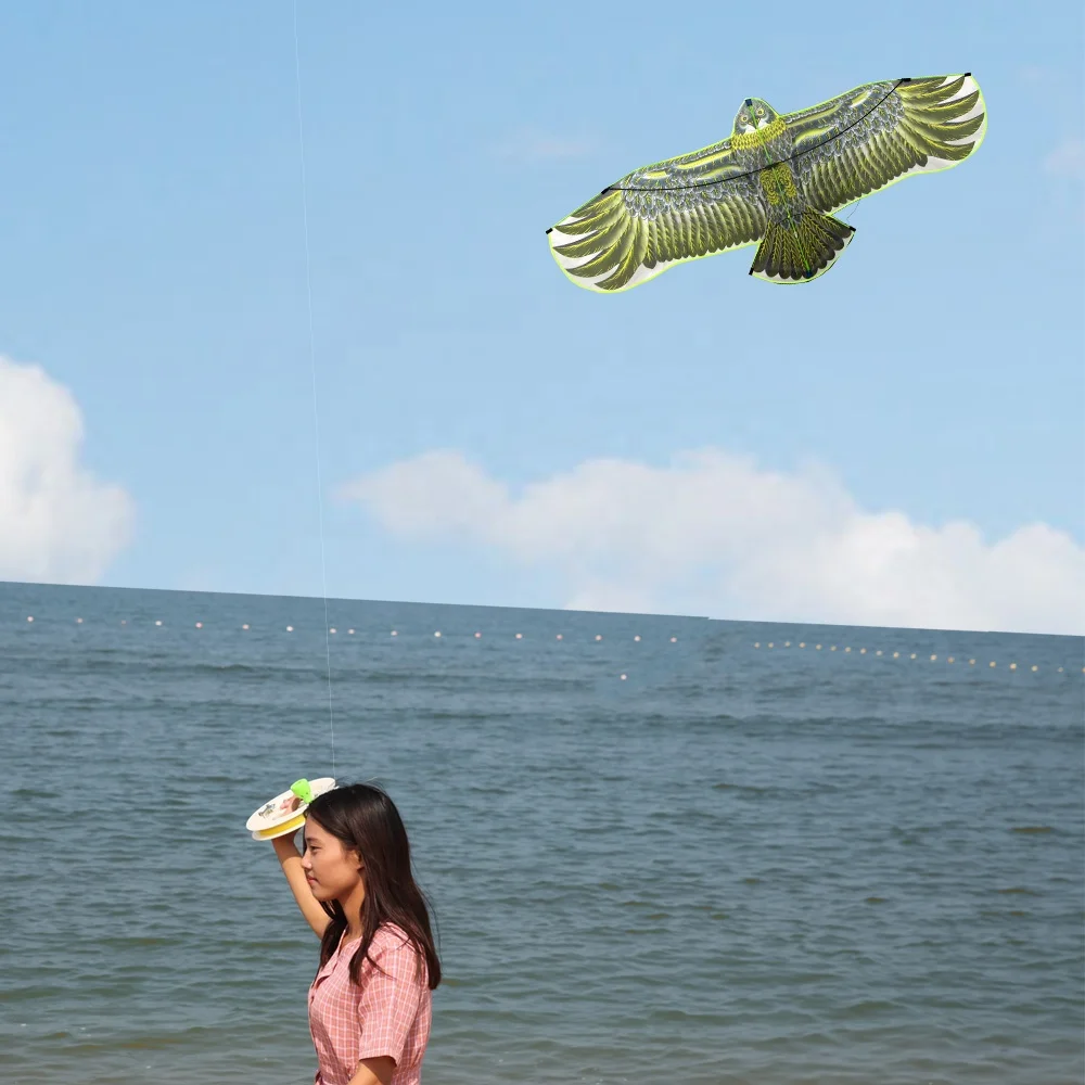 Оптовая продажа прямые продажи с фабрики персонализированный легкий Летающий змей Дельта Орла