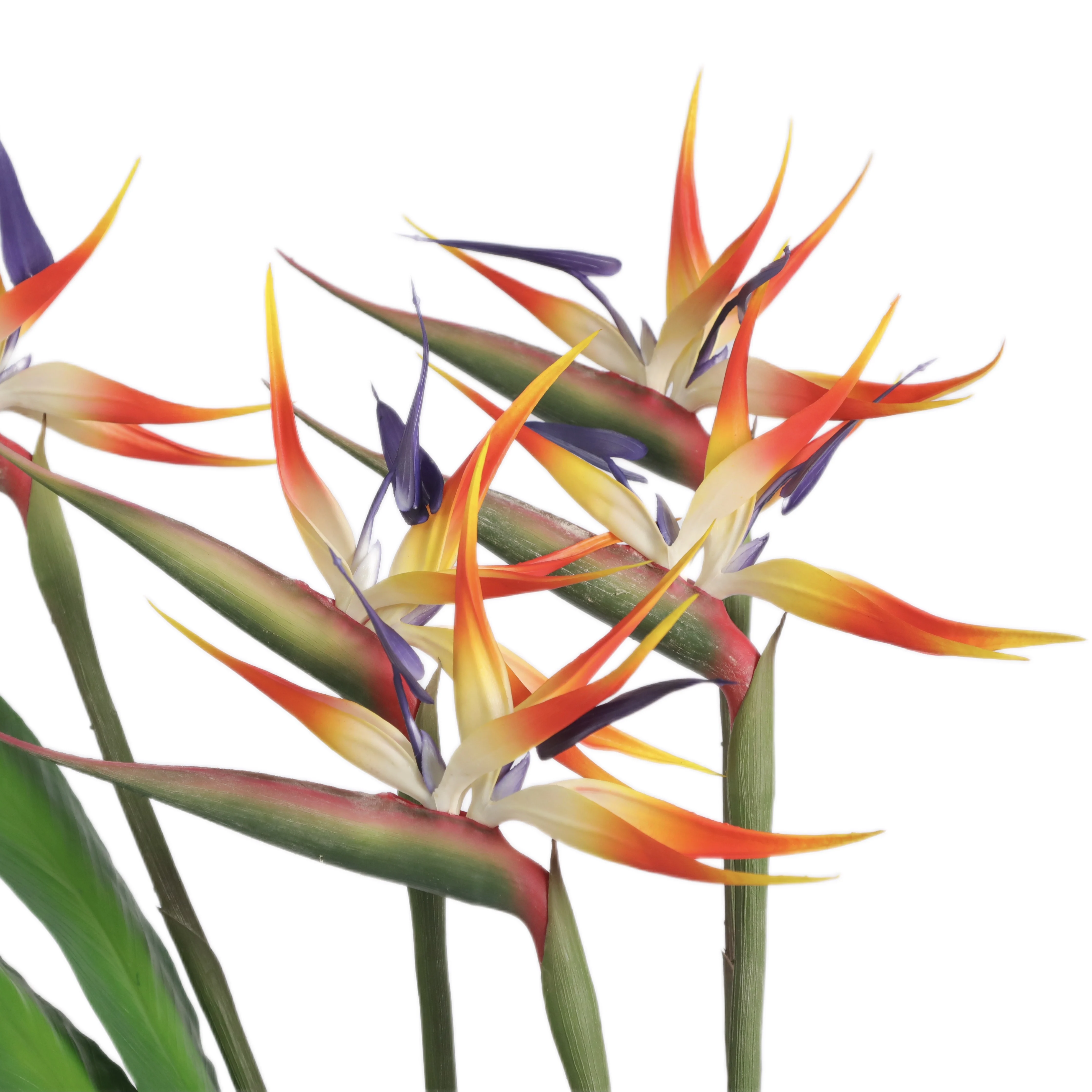 Simulation flower Bird Of Paradise for home decoration factory wholesale