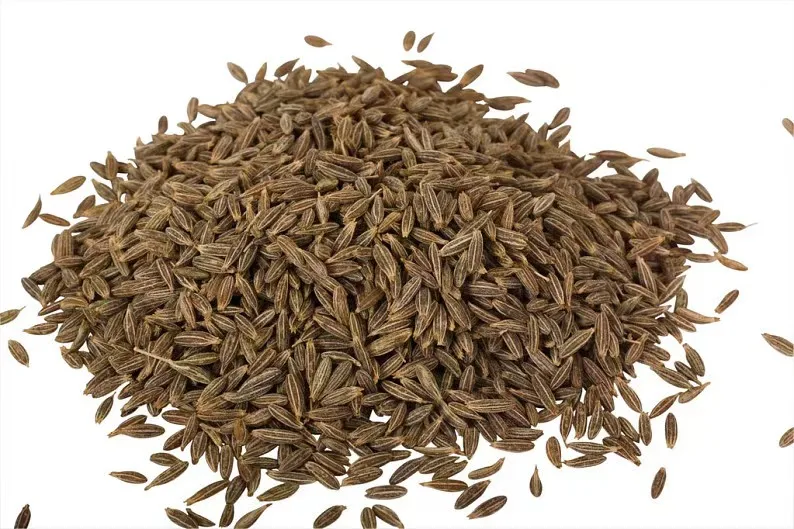 Selling 100% Pure Organic Cumin Chili Pepper Spice and Herbs from Wholesale Price for Export Sale
