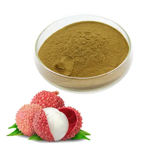 Litchi extract powder lychee seed extract Polyphenol 70%