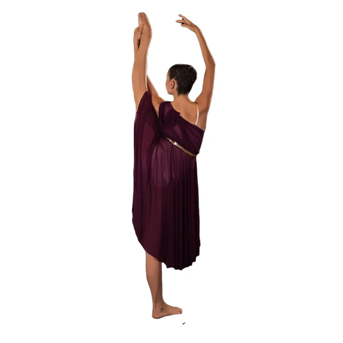 Ready to ship leotard with a four-way stretch mesh bodice  lycra  gold sequin belt with a leaf performance dance wear