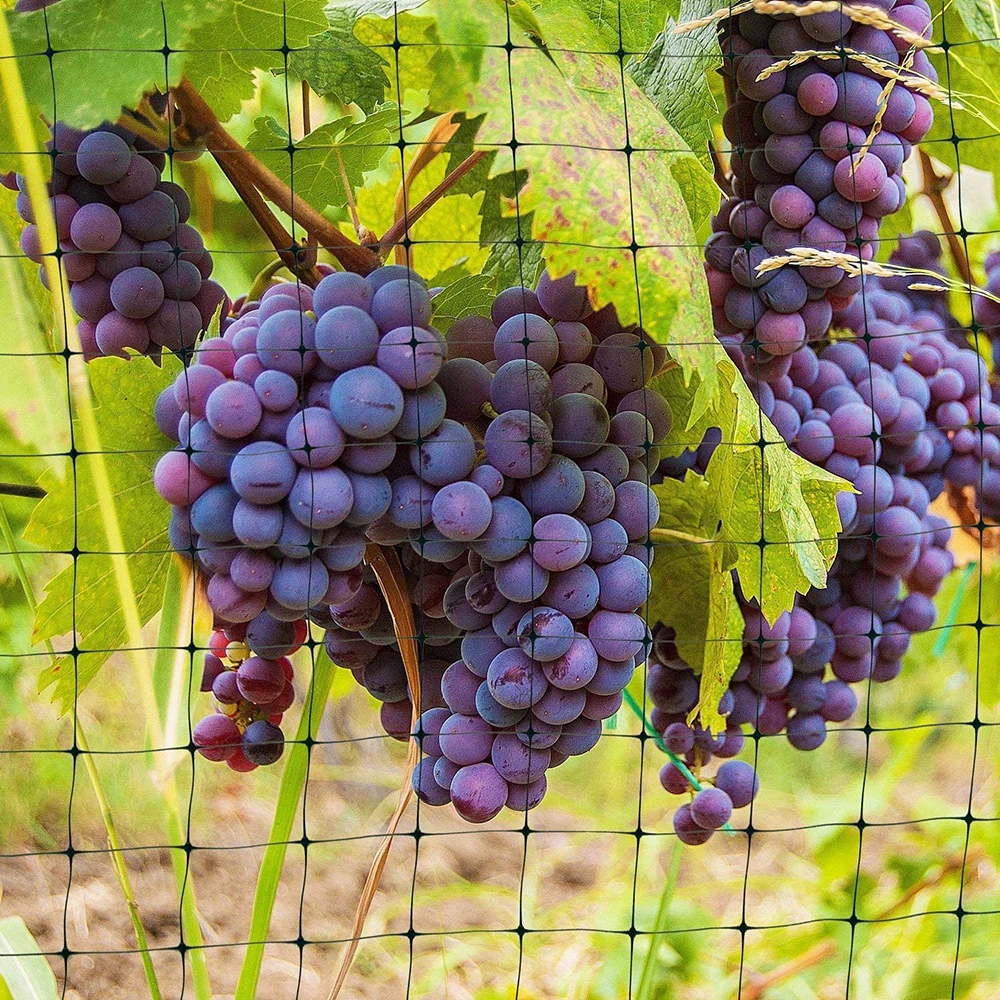 plastic bop anti bird netting/ pp deer fence mesh/ mole net