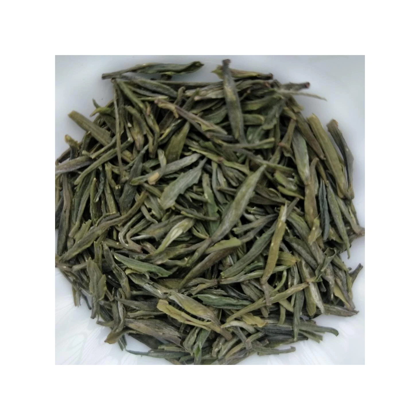 High quality organic natural Chinese special green tea