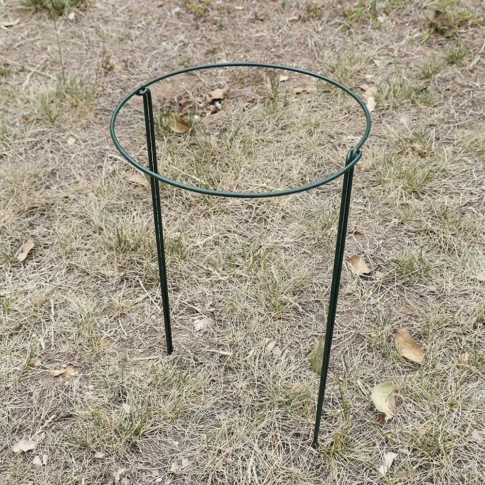 2 pc/4pc/6pc/12pc/24pc Metal Garden Flower Plant Stakes Climbing Bow Plant Supports for Flowers Rose Tomatoes