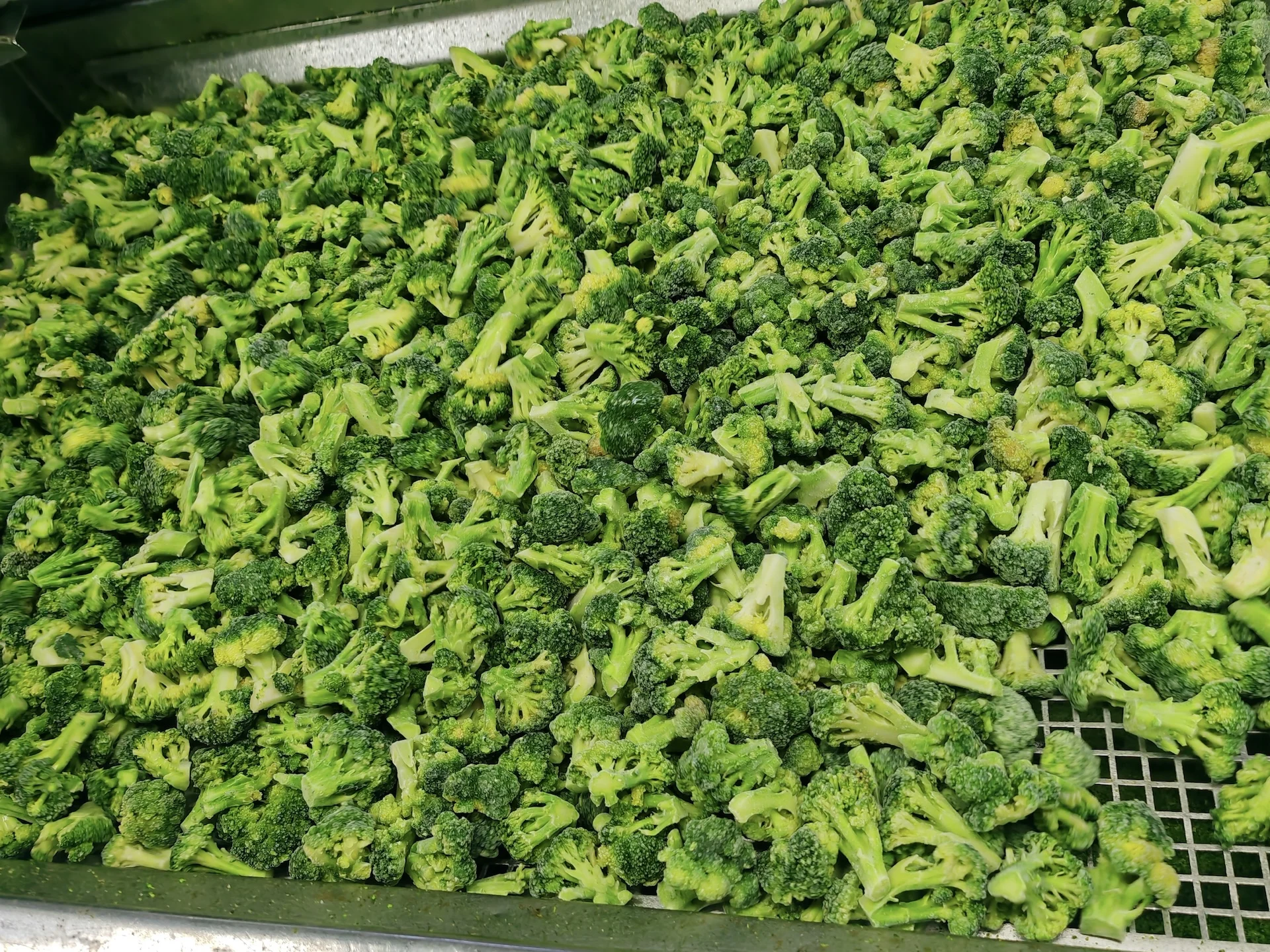 Hot Selling Good Quality Bulk Fresh Cauliflower Organic Vegetables Frozen Broccoli